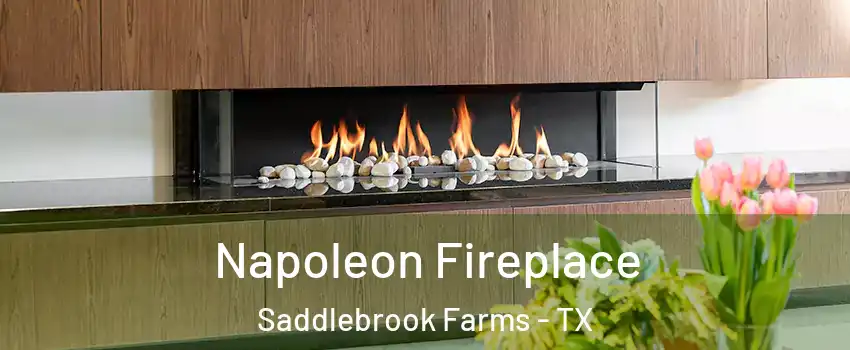 Napoleon Fireplace Saddlebrook Farms - TX