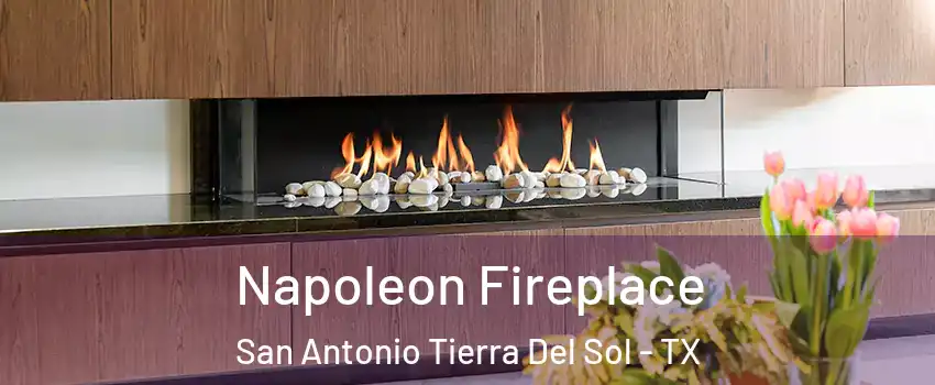 Napoleon Fireplace San Antonio Tierra Del Sol - TX