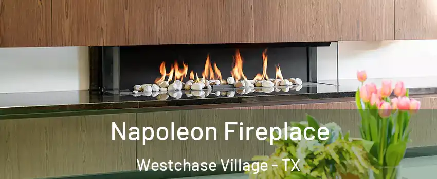 Napoleon Fireplace Westchase Village - TX