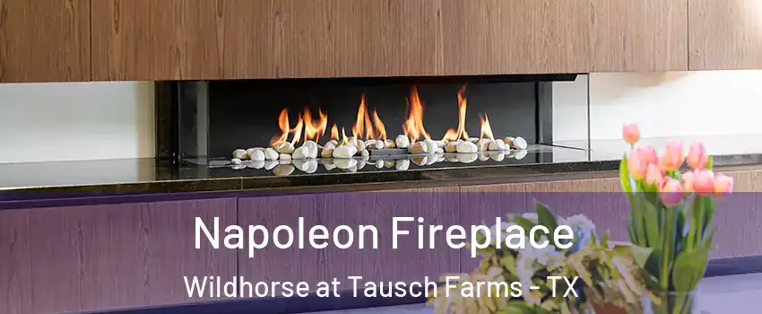 Napoleon Fireplace Wildhorse at Tausch Farms - TX