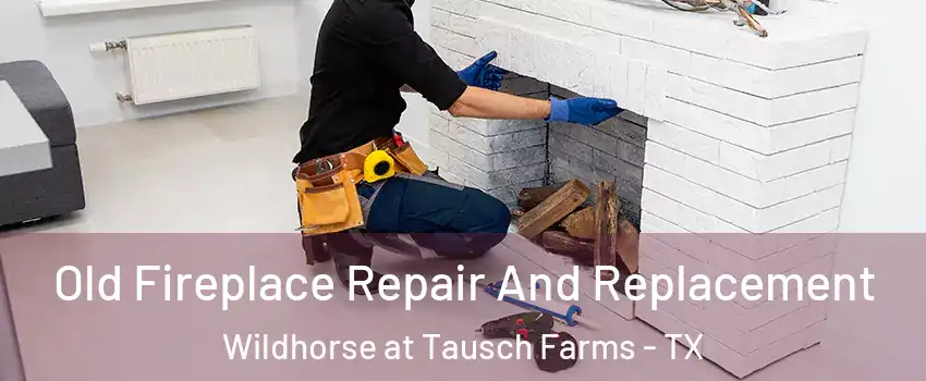 Old Fireplace Repair And Replacement Wildhorse at Tausch Farms - TX