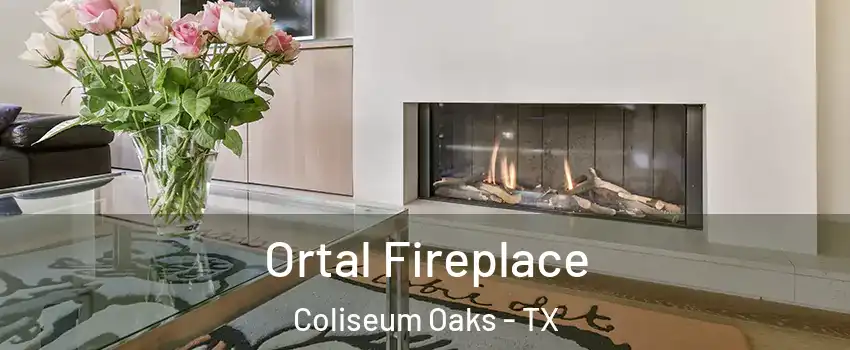 Ortal Fireplace Coliseum Oaks - TX