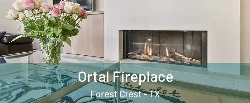 Ortal Fireplace Forest Crest - TX