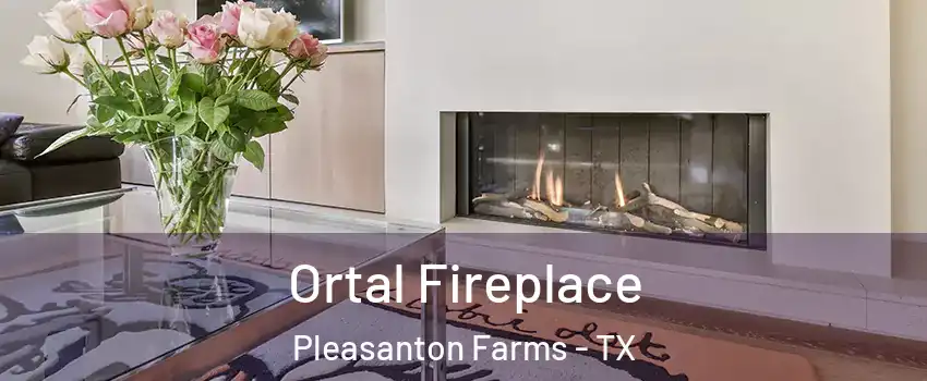 Ortal Fireplace Pleasanton Farms - TX