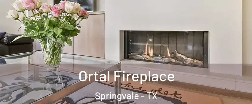 Ortal Fireplace Springvale - TX