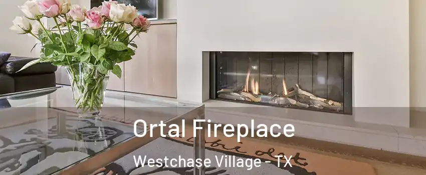 Ortal Fireplace Westchase Village - TX