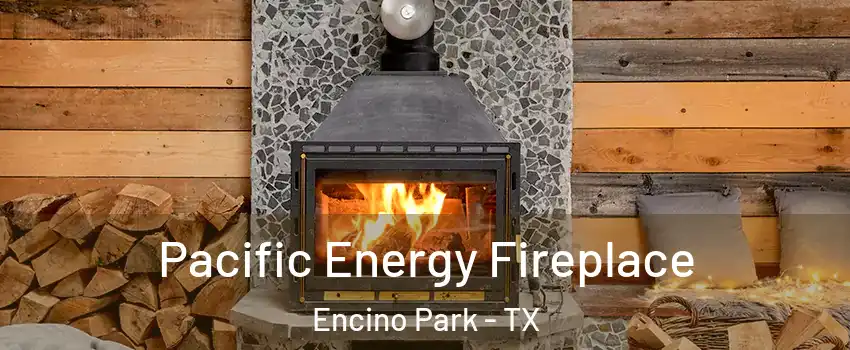 Pacific Energy Fireplace Encino Park - TX