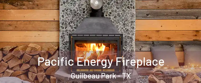 Pacific Energy Fireplace Guilbeau Park - TX