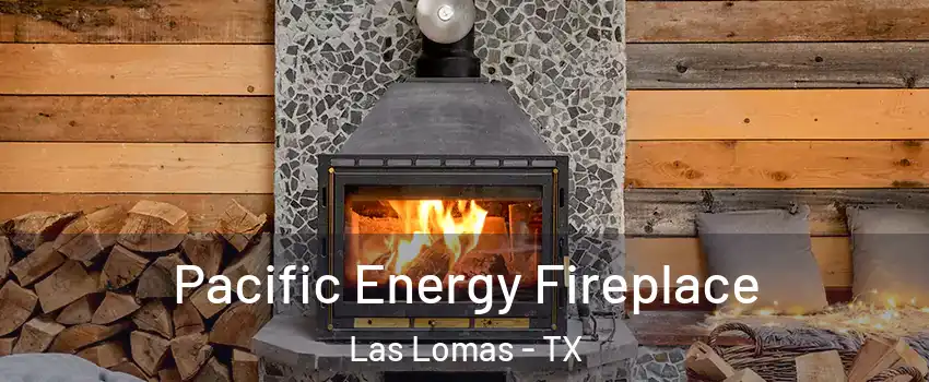 Pacific Energy Fireplace Las Lomas - TX