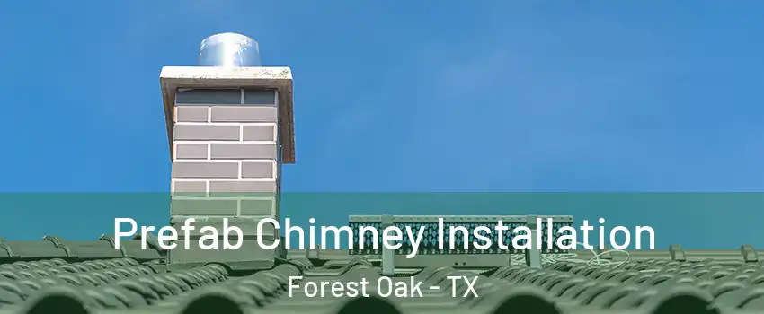 Prefab Chimney Installation Forest Oak - TX