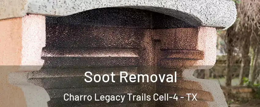 Soot Removal Charro Legacy Trails Cell-4 - TX