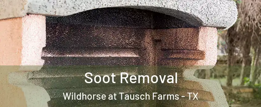 Soot Removal Wildhorse at Tausch Farms - TX