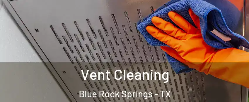 Vent Cleaning Blue Rock Springs - TX