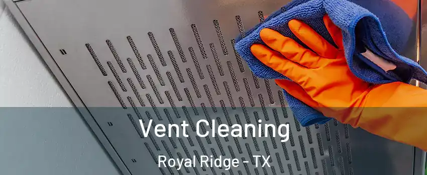 Vent Cleaning Royal Ridge - TX