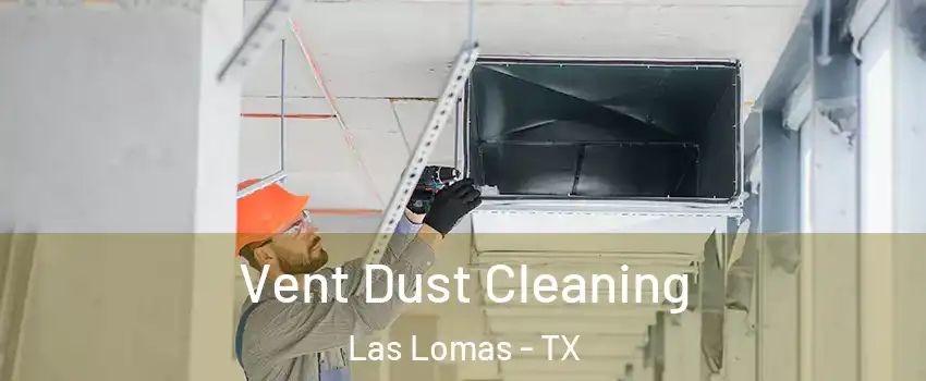 Vent Dust Cleaning Las Lomas - TX