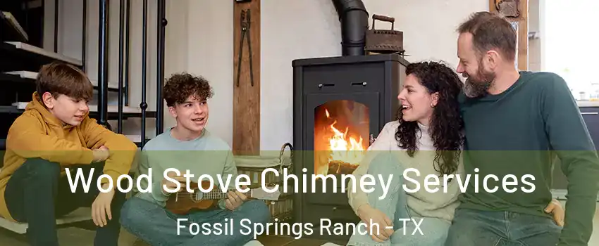 Wood Stove Chimney Services Fossil Springs Ranch - TX