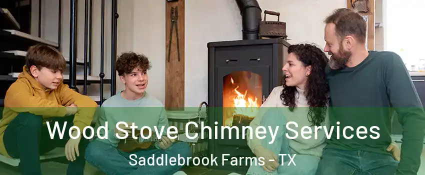 Wood Stove Chimney Services Saddlebrook Farms - TX