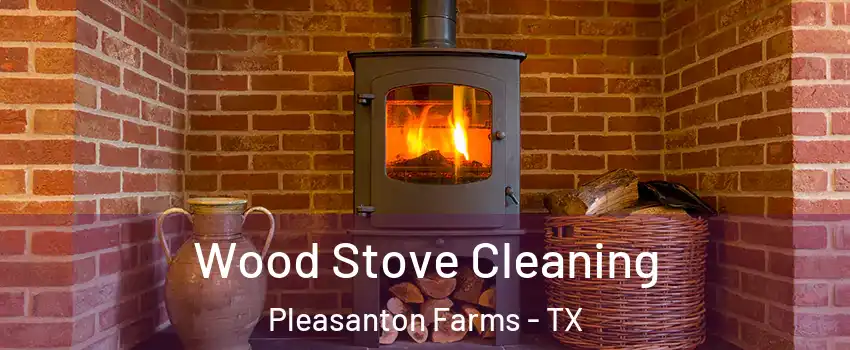 Wood Stove Cleaning Pleasanton Farms - TX